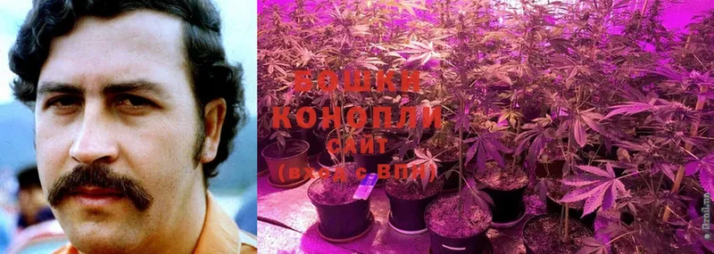 где купить наркотик  Всеволожск  МАРИХУАНА Ganja 